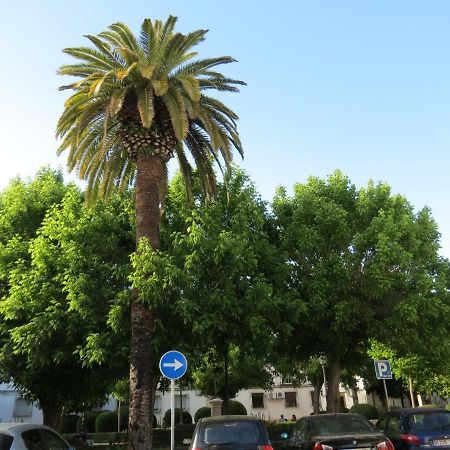 Apartmán Patios De San Pedro Córdoba Exteriér fotografie
