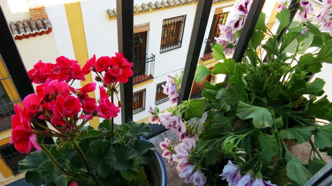 Apartmán Patios De San Pedro Córdoba Exteriér fotografie